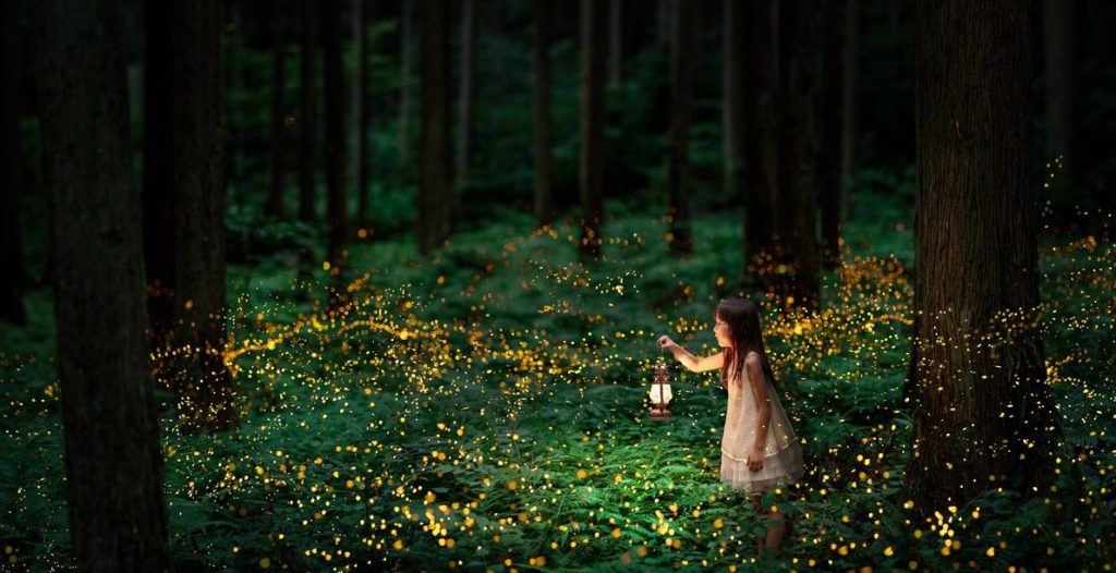 Those Fireflies!